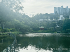 25ll 港五机械工程专业深度解析：登科难